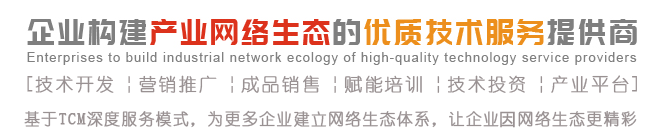 企业构建产业互联网生态的技术服务提供商