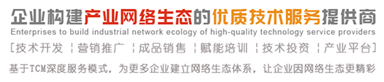 湖南鼎誉使命：成为企业构建产业网络生态的优质技术服务提供商！